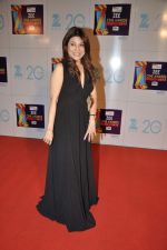 at Zee Awards red carpet in Mumbai on 6th Jan 2013 (29).JPG